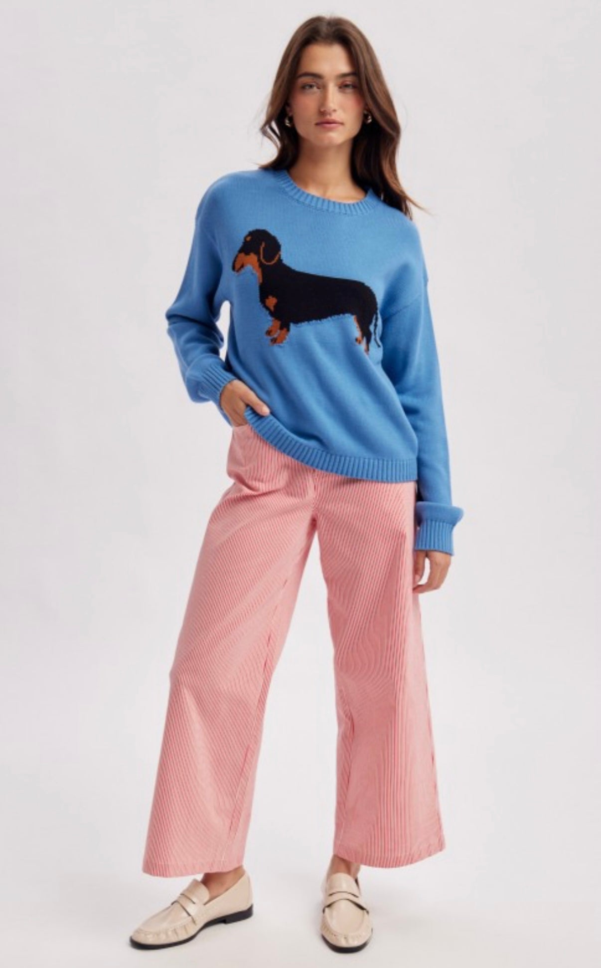 Pacific Blue Wiener Dog Sweater