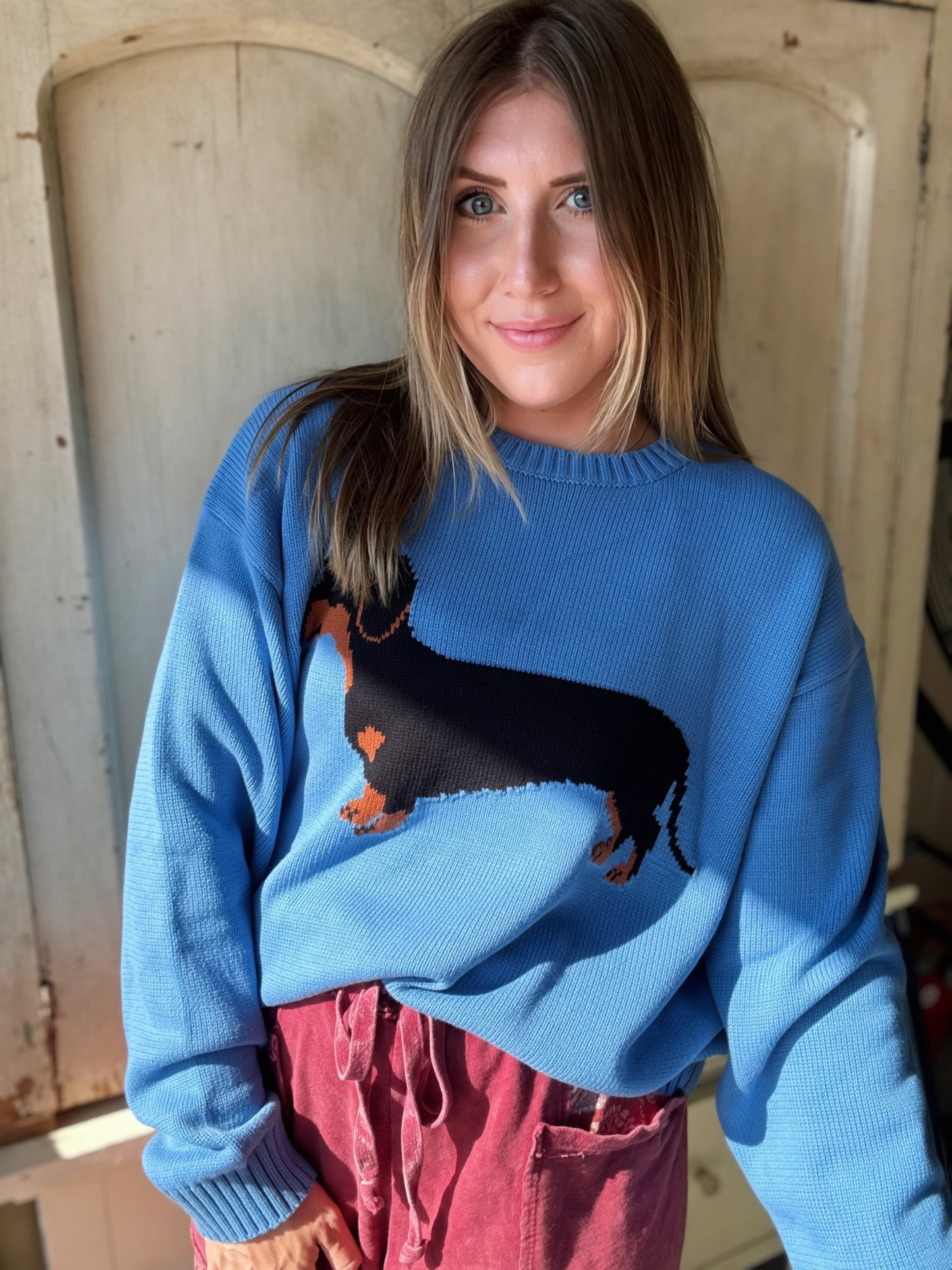Pacific Blue Wiener Dog Sweater