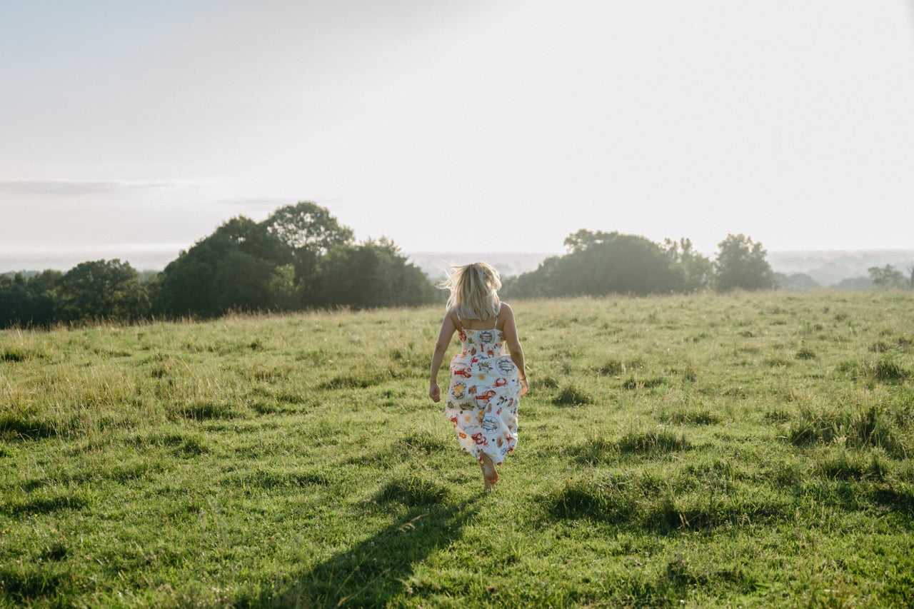 SEASIDE PICNIC MIDI